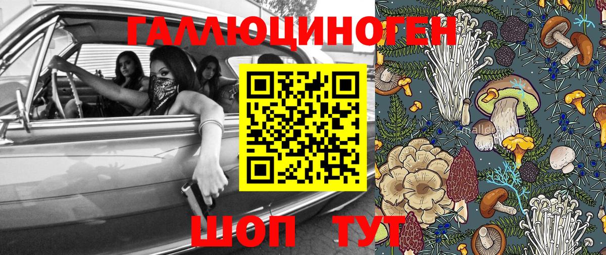 Галлюциногенные грибы GOLDEN TEACHER  где купить наркоту  Будённовск  Галлюциногенные грибы Cubensis  Вход с VPN 
