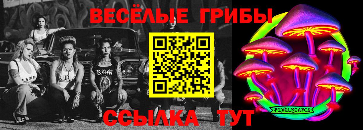 Псилоцибиновые грибы мицелий Будённовск