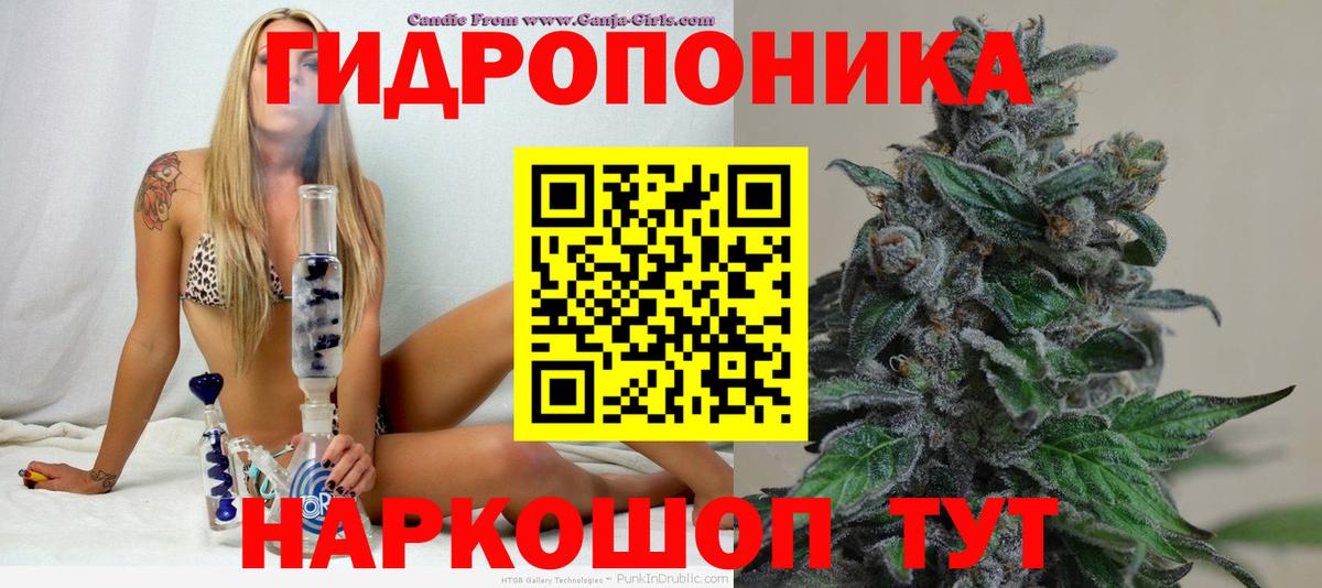 Бошки Шишки THC 21%  Бошки Шишки MAZAR  Бошки марихуана Bruce Banner  Вход с VPN  МАРИХУАНА Ganja  Будённовск 
